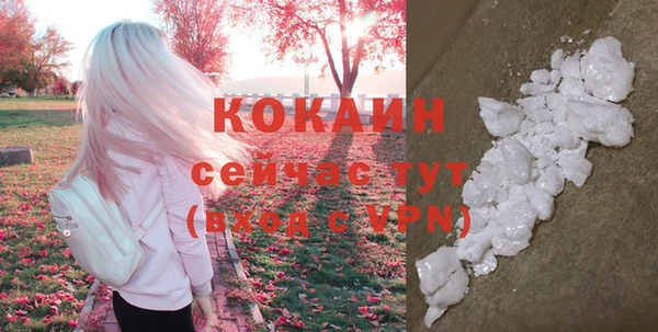 твердый Карпинск