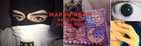 хмурый Корсаков