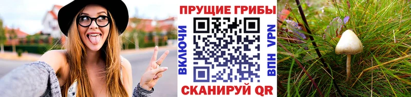 Галлюциногенные грибы GOLDEN TEACHER  сколько стоит  Краснокамск 